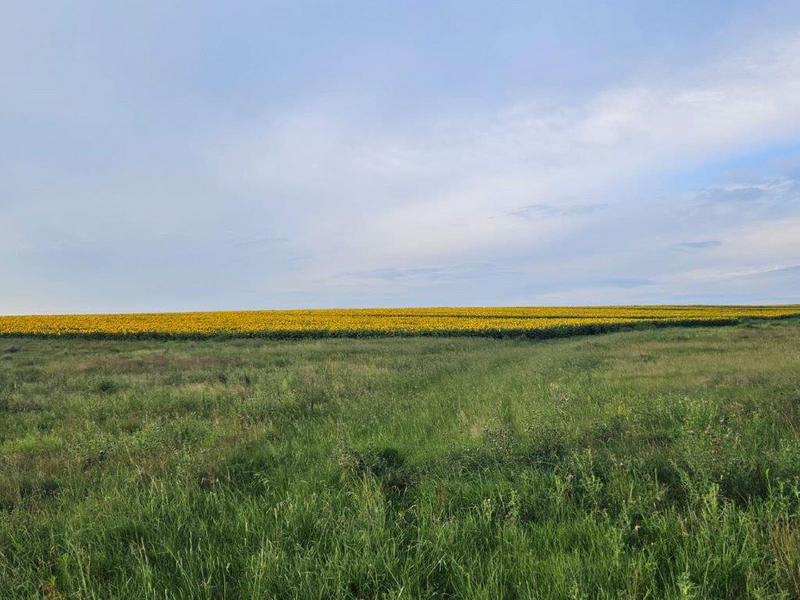 8 Bedroom Property for Sale in Bethlehem Rural Free State